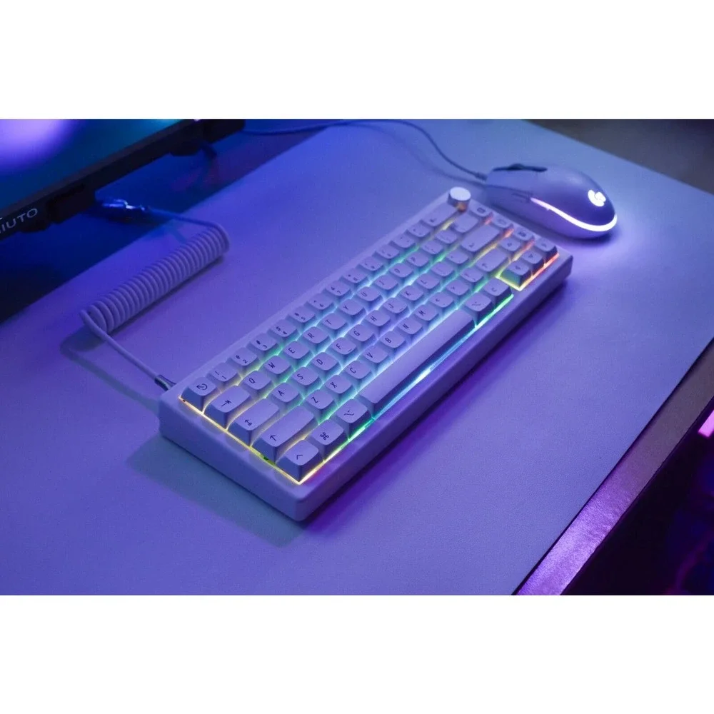 Custom modded mechanical keyboard GMK67 65% Lubed Switches thocky hot-swap RGB - Picture 4 of 10